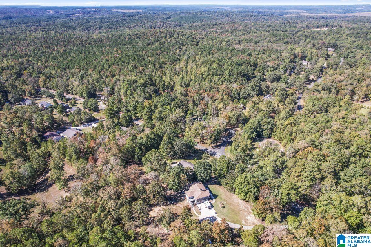 1332 Sardis Road Gardendale, AL 35071 - Photo 31 of 41