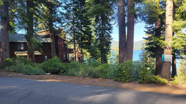 a pathway of a house with a tree and plants