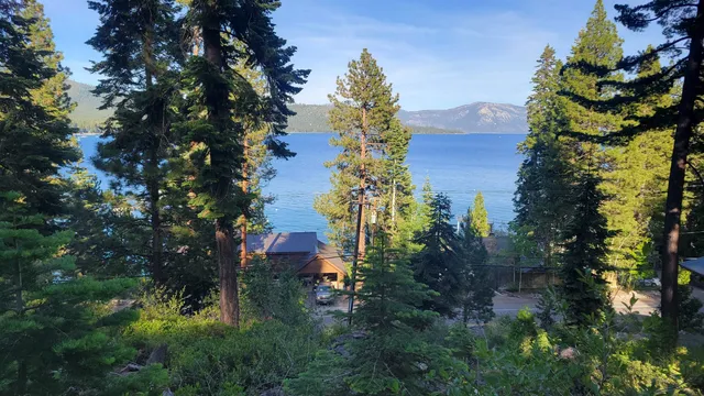 a view of a house with a tree