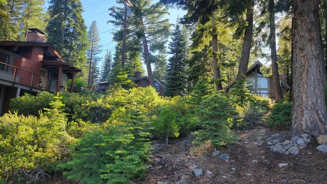 a backyard of a house with lots of green space