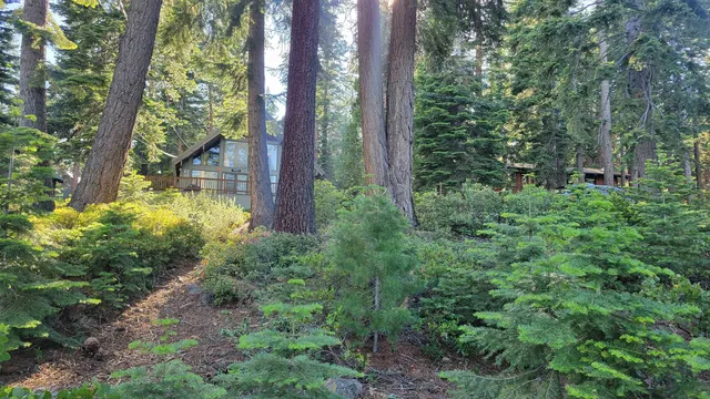 a view of backyard with green space