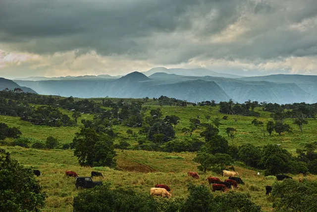 a view of a lake in middle of green field