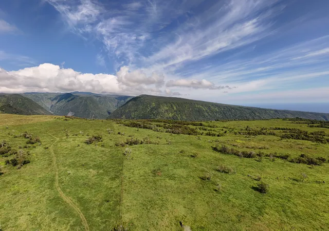 a view of a green field with lots of green space