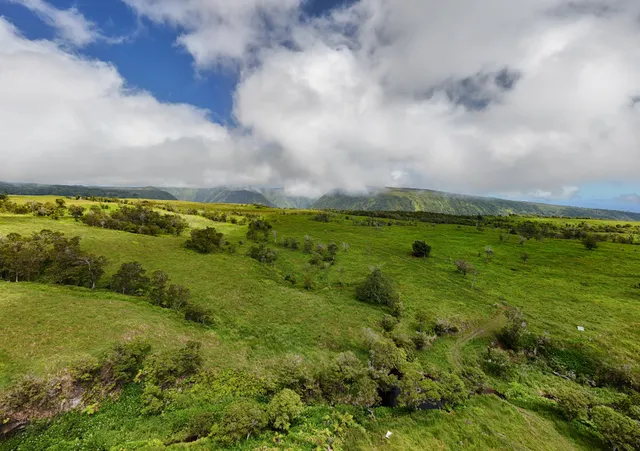 a view of lake with green space