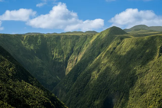 a view of a lush green field