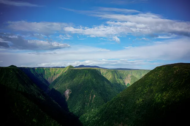 a view of a lake from a yard