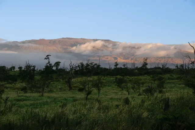 a view of a lush green field with mountains in the background