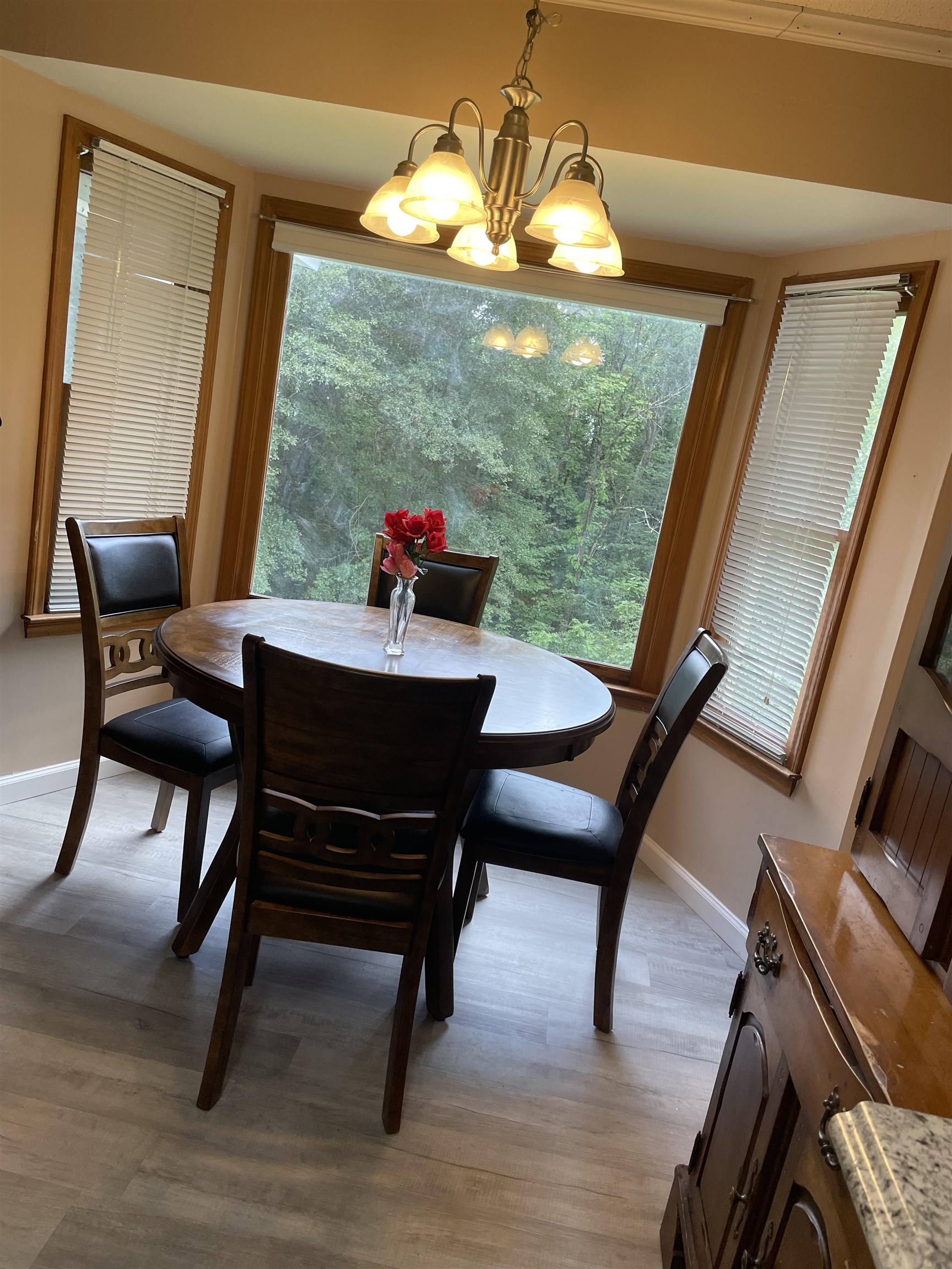 171 Squaw Valley Road Blacksburg, SC 29702 - Photo 5 of 22