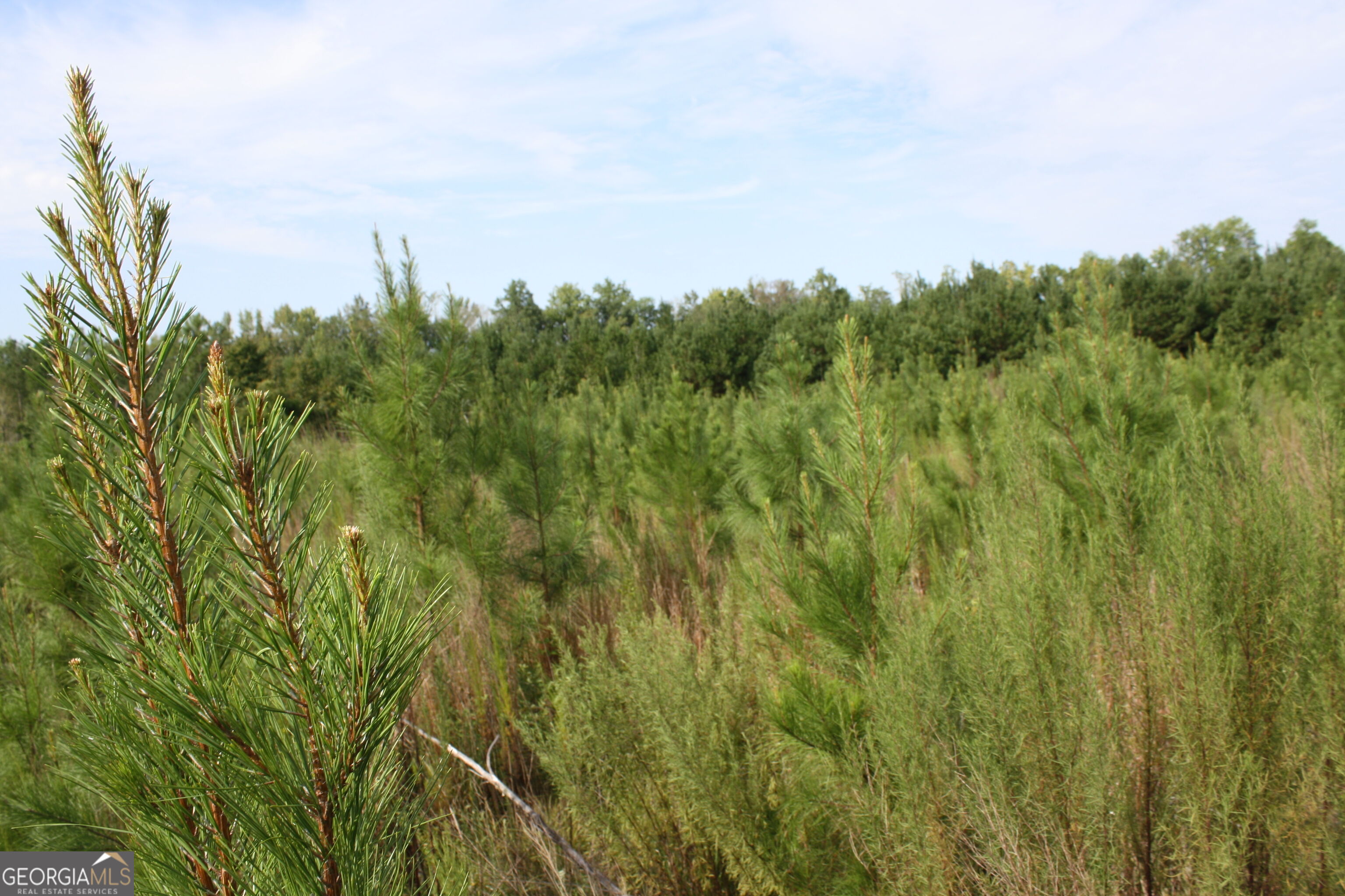0 Balerma Church Road, Unit TRACT 1 Sparta, GA 31087 - Photo 13 of 21 Gallery Image 13