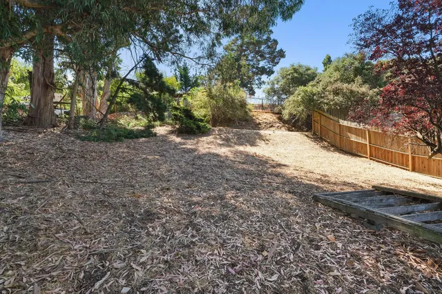 a view of a yard with a tree