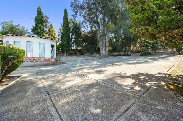 a view of a yard with plants and trees