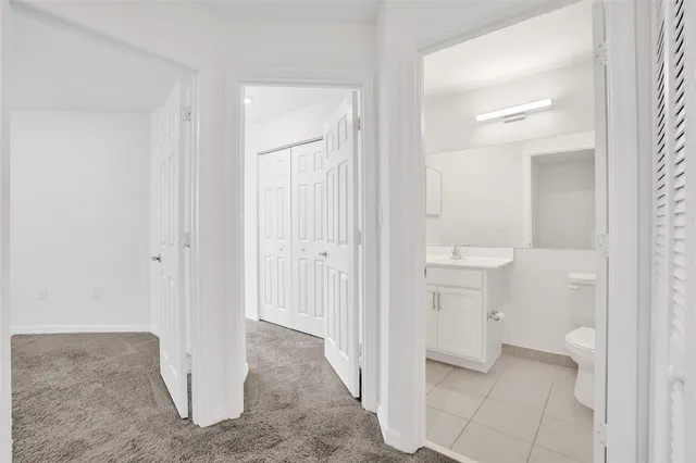 a view of a park with a tree