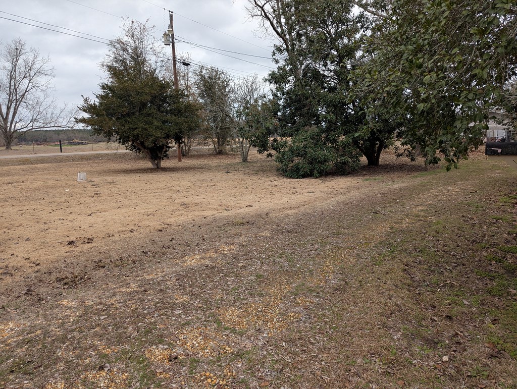 7015 Cottonwood Road Dothan, AL 36301 - Photo 11 of 28 Gallery Image 11