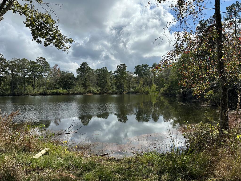 0 George Wells Road Carriere, MS 39426 - Photo 1 of 1 Main View