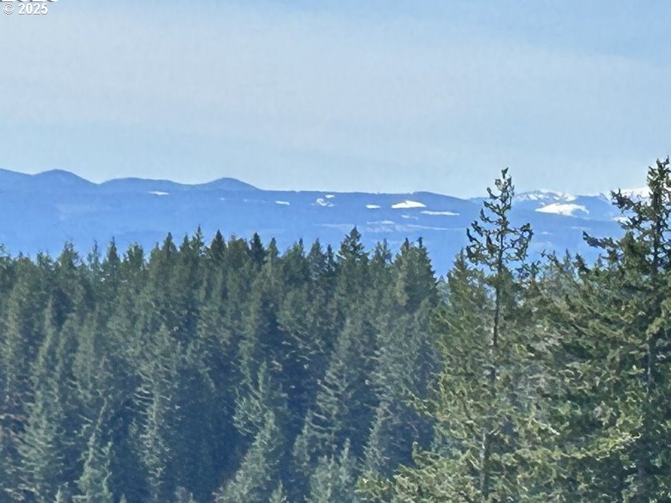 0 Knoll Ridge Road Lyle, WA 98635 - Photo 4 of 5 a view of a city with a mountain