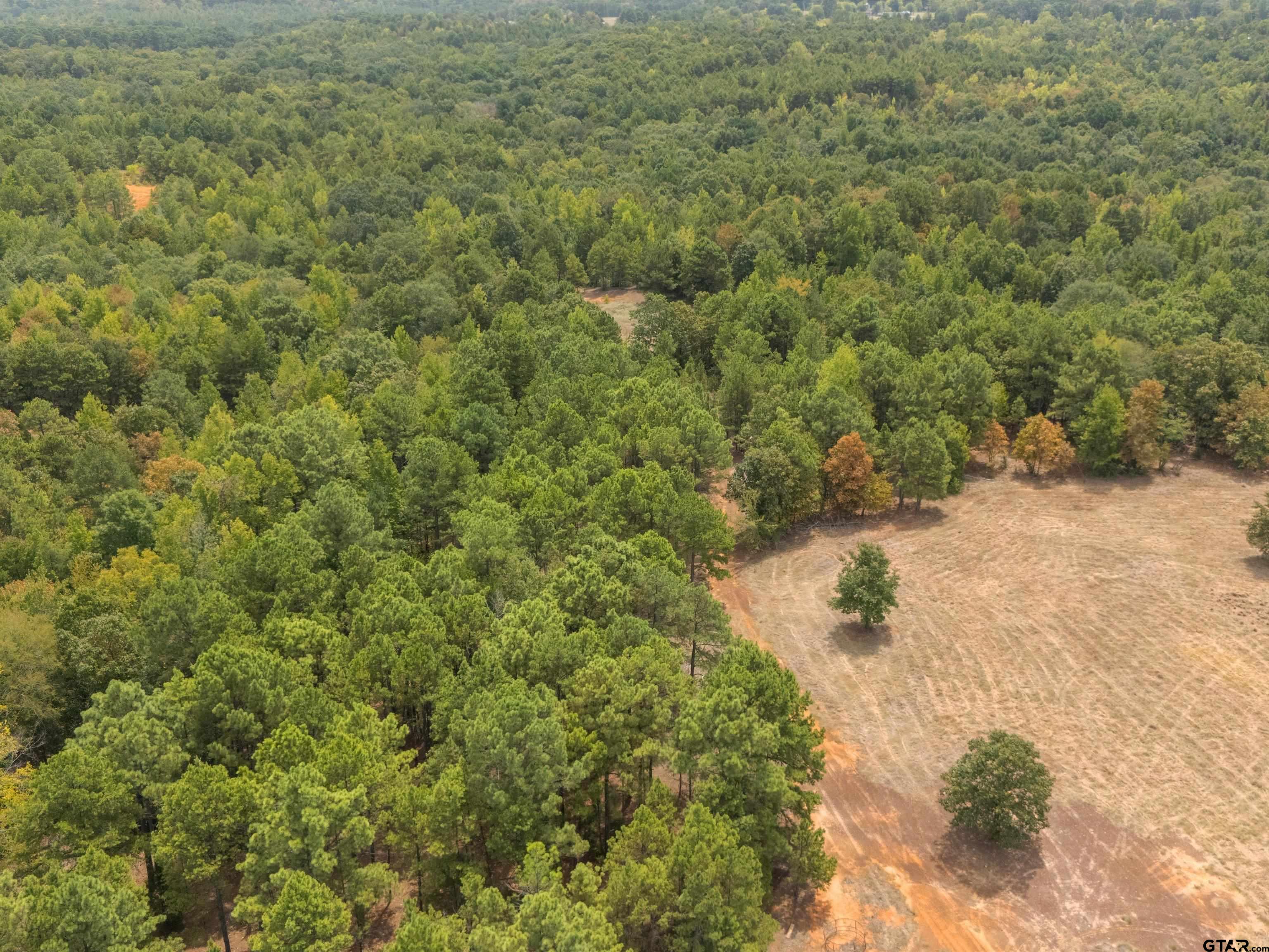 Tbd Silk Tree Road Gilmer, TX 75645 - Photo 9 of 16 Gallery Image 9