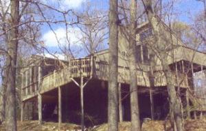 a view of a house with a tree