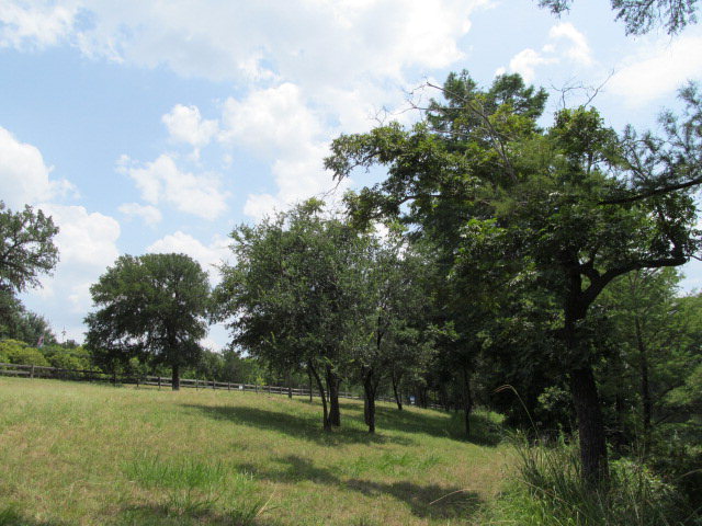 320 North Queen Bee Ingram, TX 78025 - Photo 27 of 38