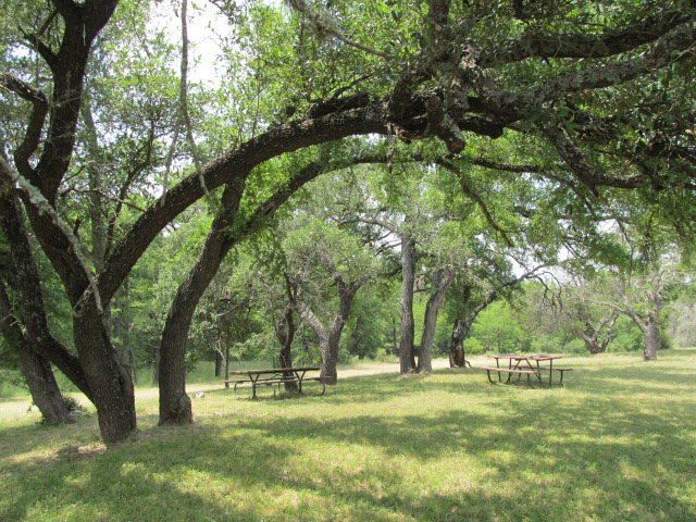 320 North Queen Bee Ingram, TX 78025 - Photo 29 of 38