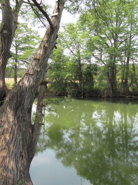 320 North Queen Bee Ingram, TX 78025 - Photo 35 of 38