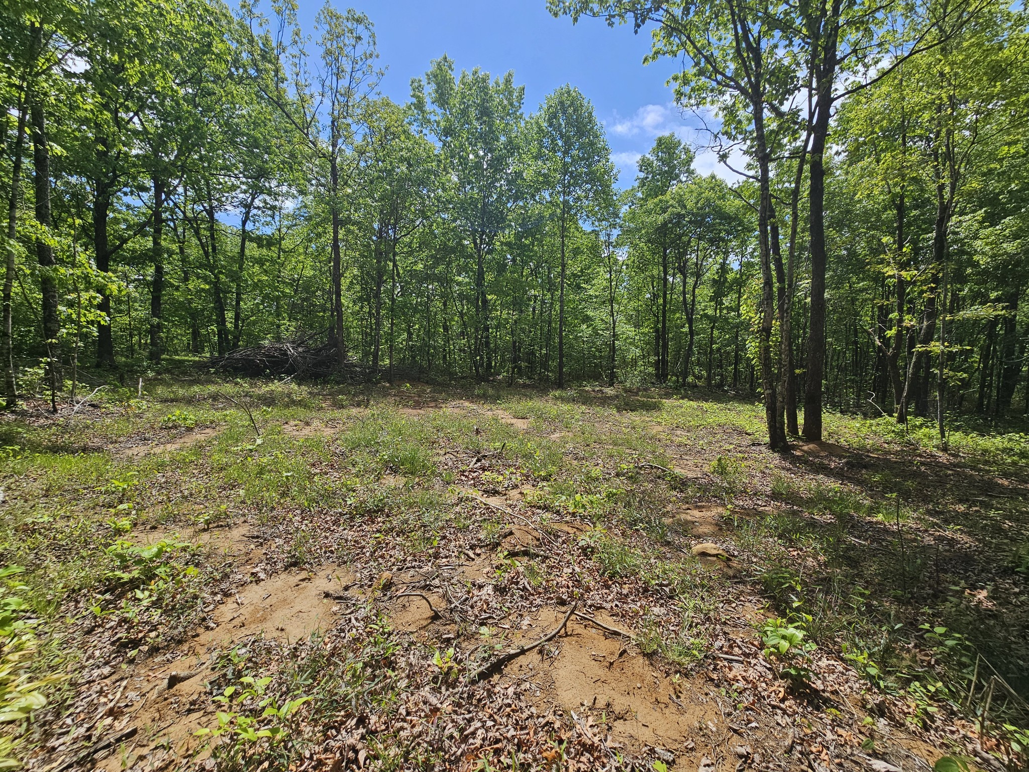 488 Hunters Trail Way Altamont, TN 37301 - Photo 12 of 37