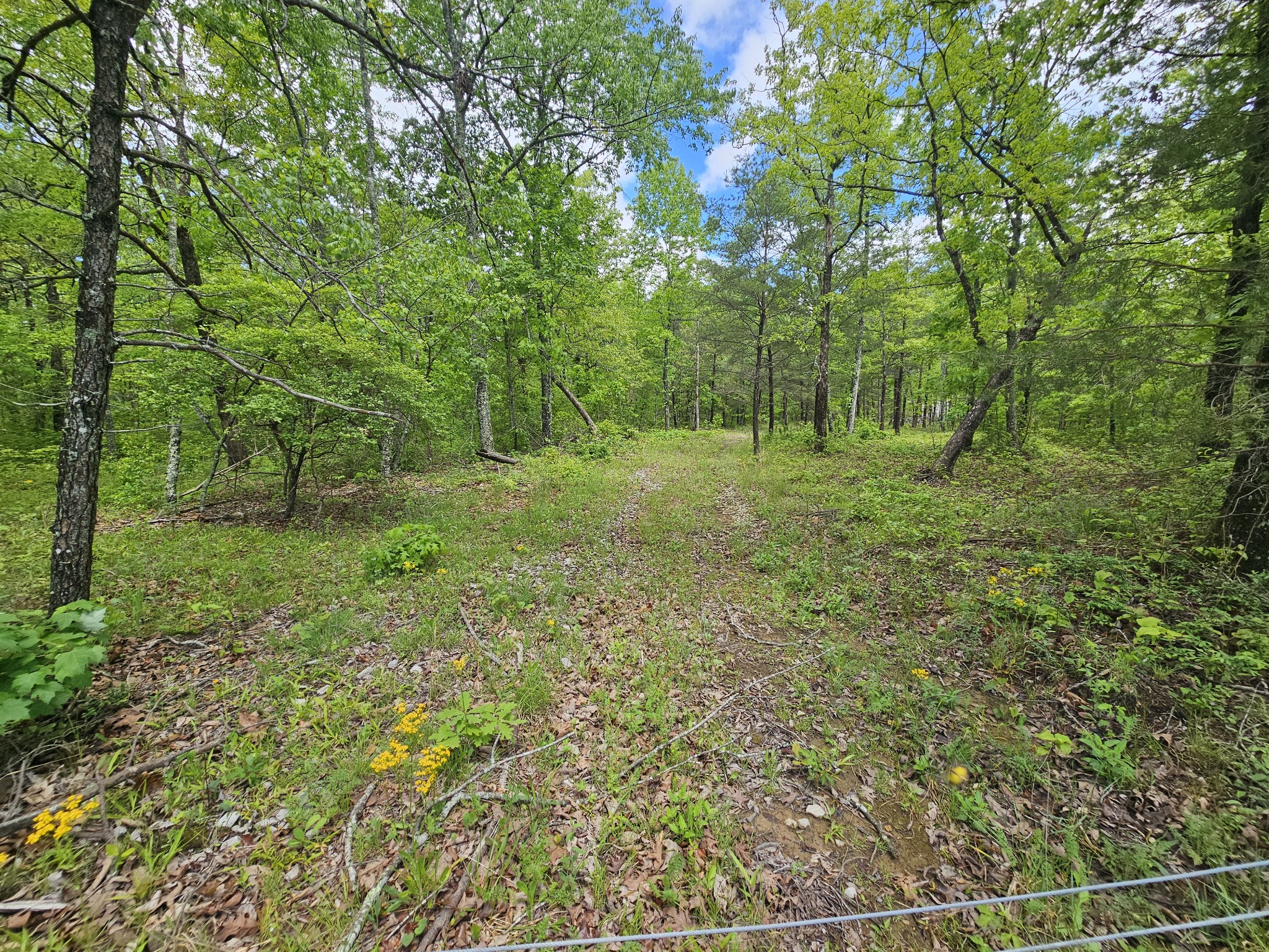 488 Hunters Trail Way Altamont, TN 37301 - Photo 6 of 37