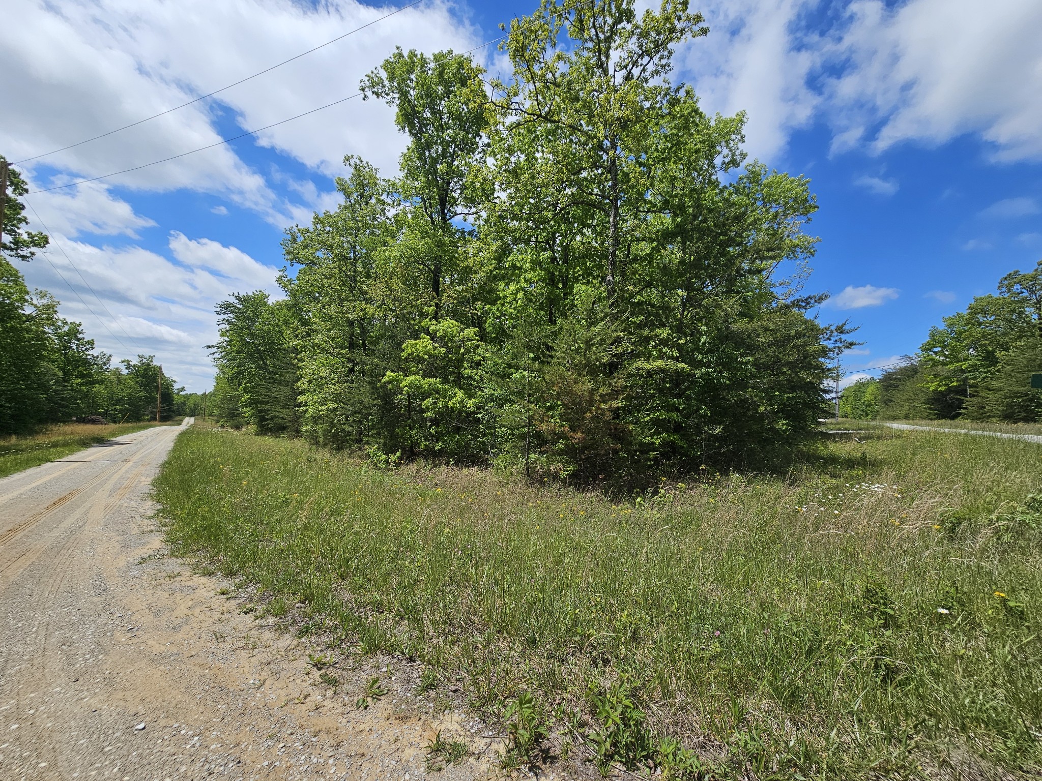 488 Hunters Trail Way Altamont, TN 37301 - Photo 7 of 37