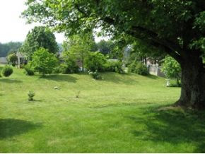 103 Laurel Road Bristol, TN 37620 - Photo 9 of 12 Large level Backyard