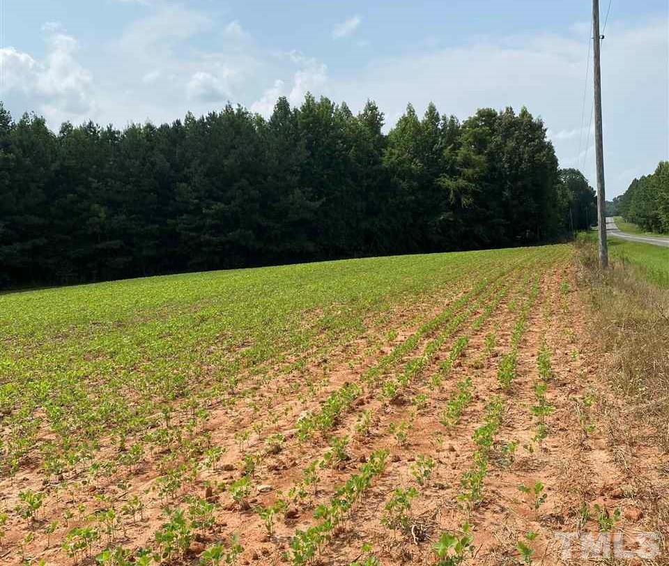 355 Cheeks Quarter Road Henderson, NC 27537 - Photo 4 of 7 Gallery Image 4