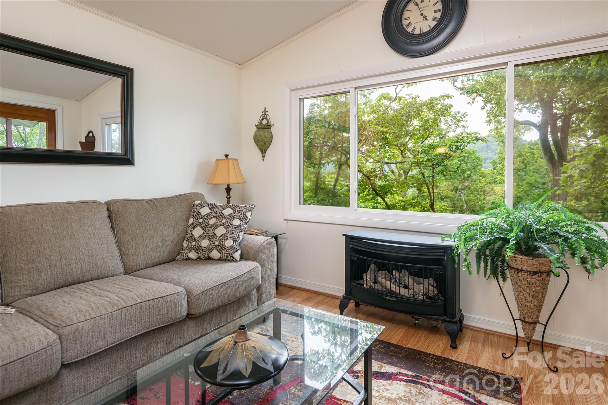 8 North Delano Road Asheville, NC 28805 - Photo 9 of 35 Gallery Image 9