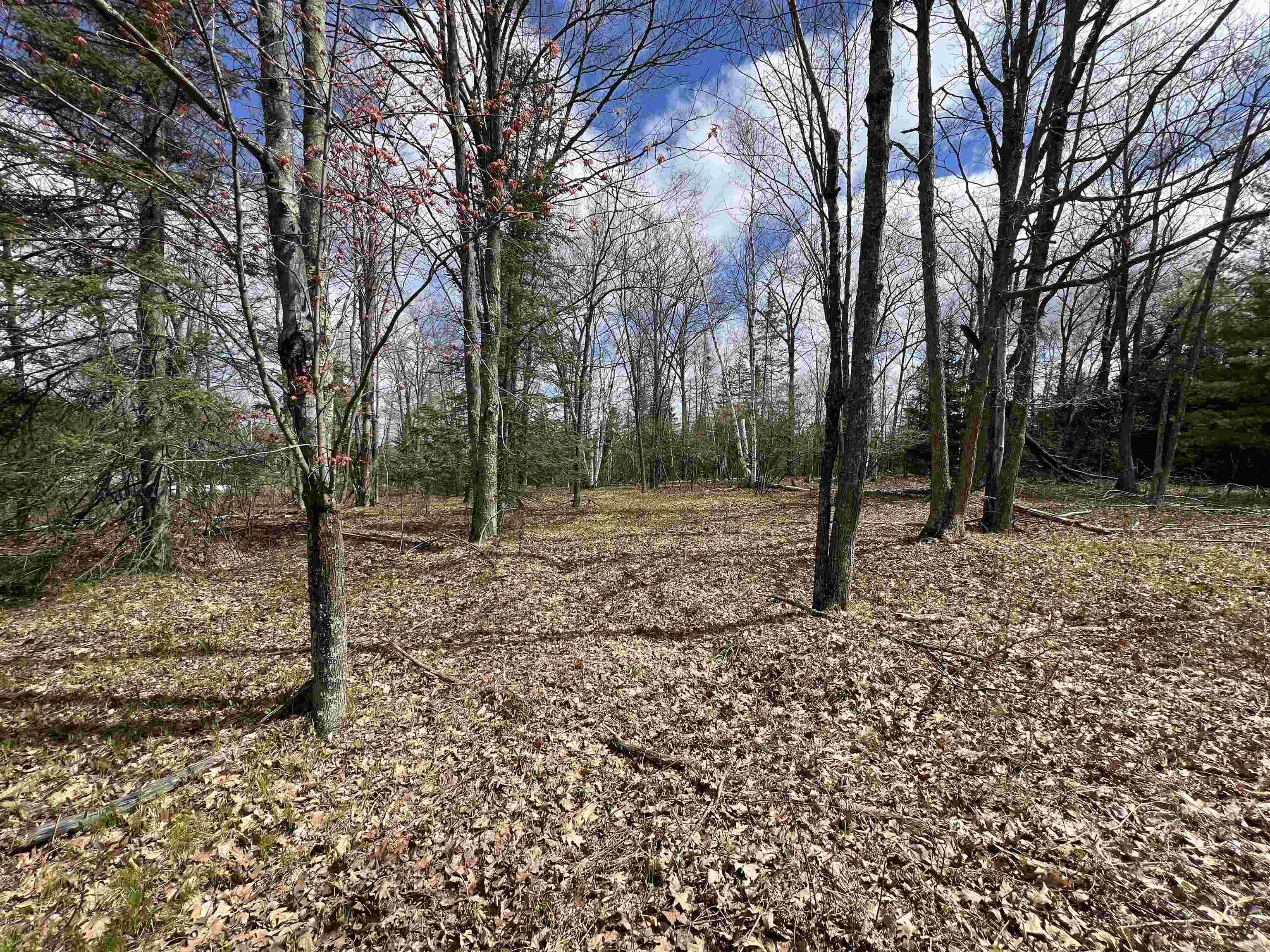 Nejedlo Road, Unit 2 Wausaukee, WI 54177 - Photo 2 of 3