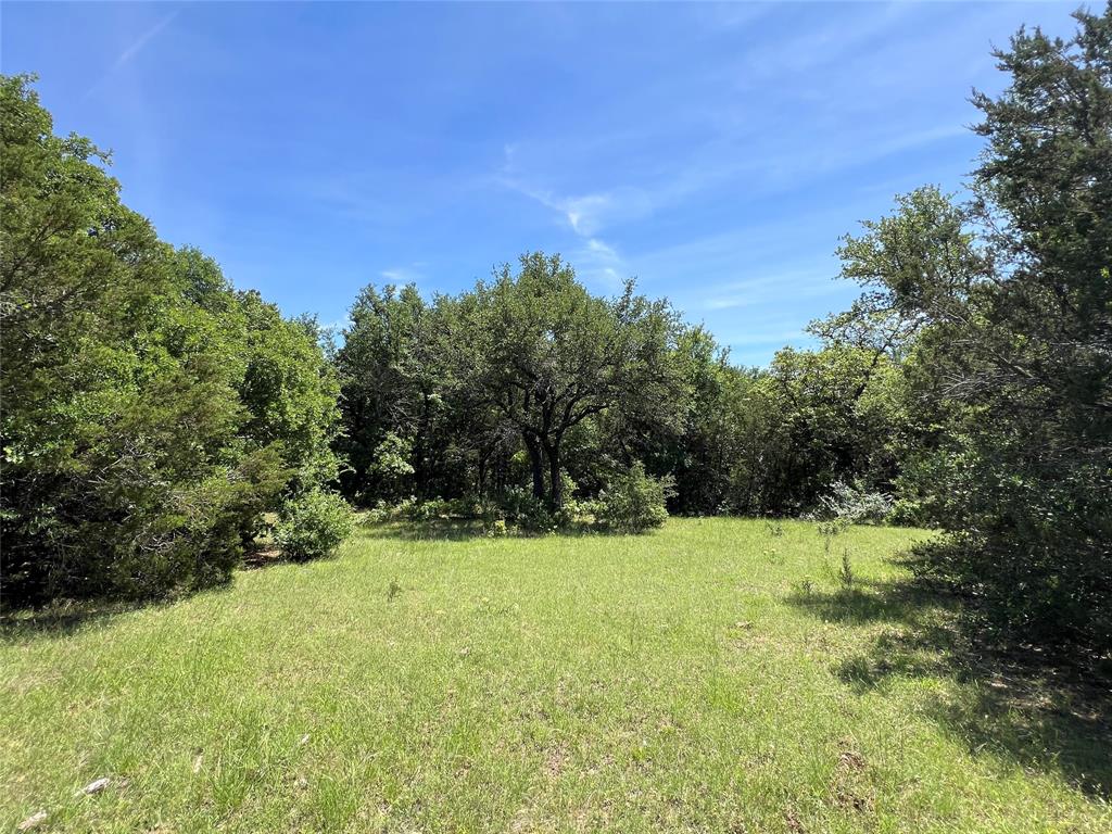 Tbd Lake Creek Road Gordon, TX 76453 - Photo 5 of 18 a view of outdoor space with a field and trees