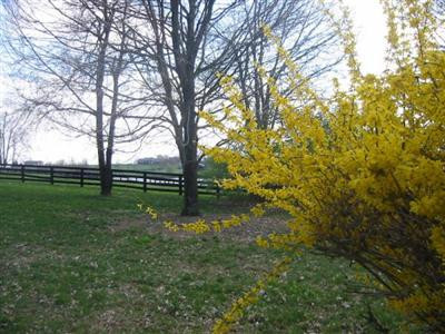 1830 Jacks Creek Road Lexington, KY 40515 - Photo 12 of 13 Entrance to property. Has circular driv