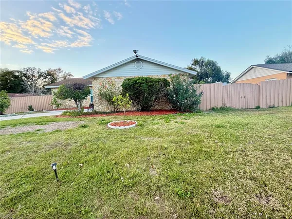 a view of a backyard