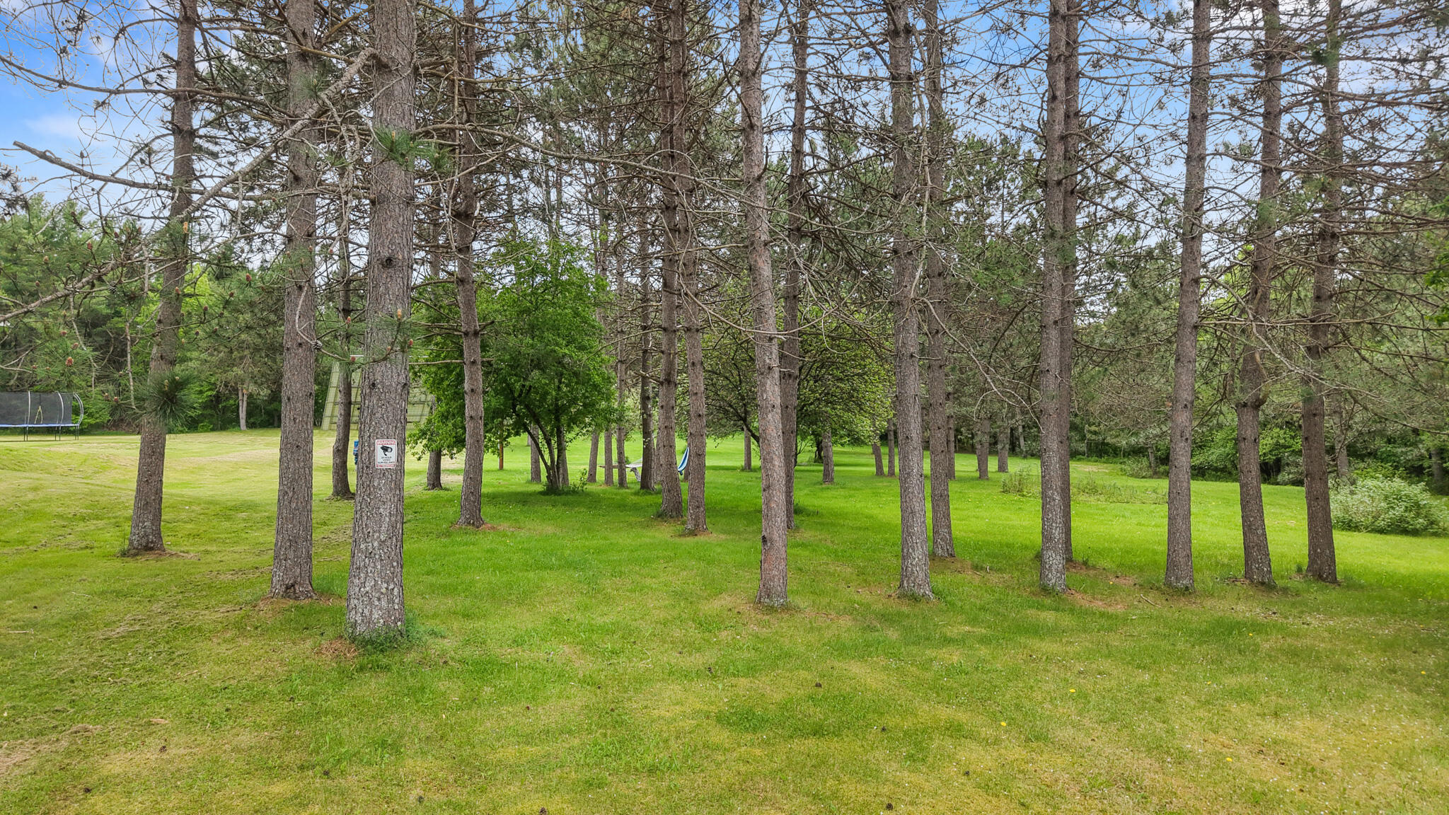 212 South Levant Road Levant, ME 04456 - Photo 61 of 67 dji_fly_20260529_143014_0661_17800798453