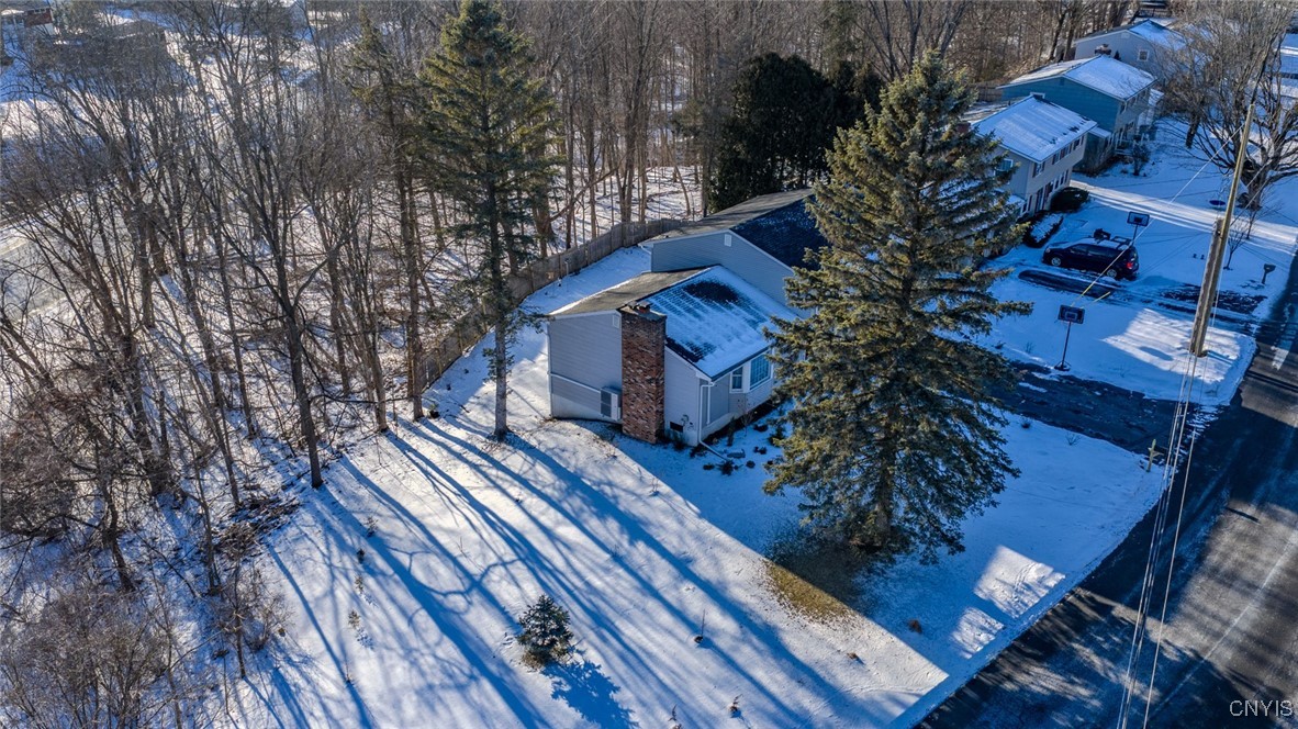 101 Brookside Lane Manlius, NY 13066 - Photo 37 of 40