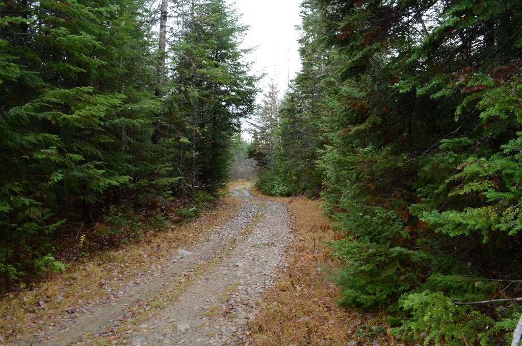 On Skagrock Road Wytopitlock, ME 04497 - Photo 11 of 22 Maine Land for Sale in Haynesville,...