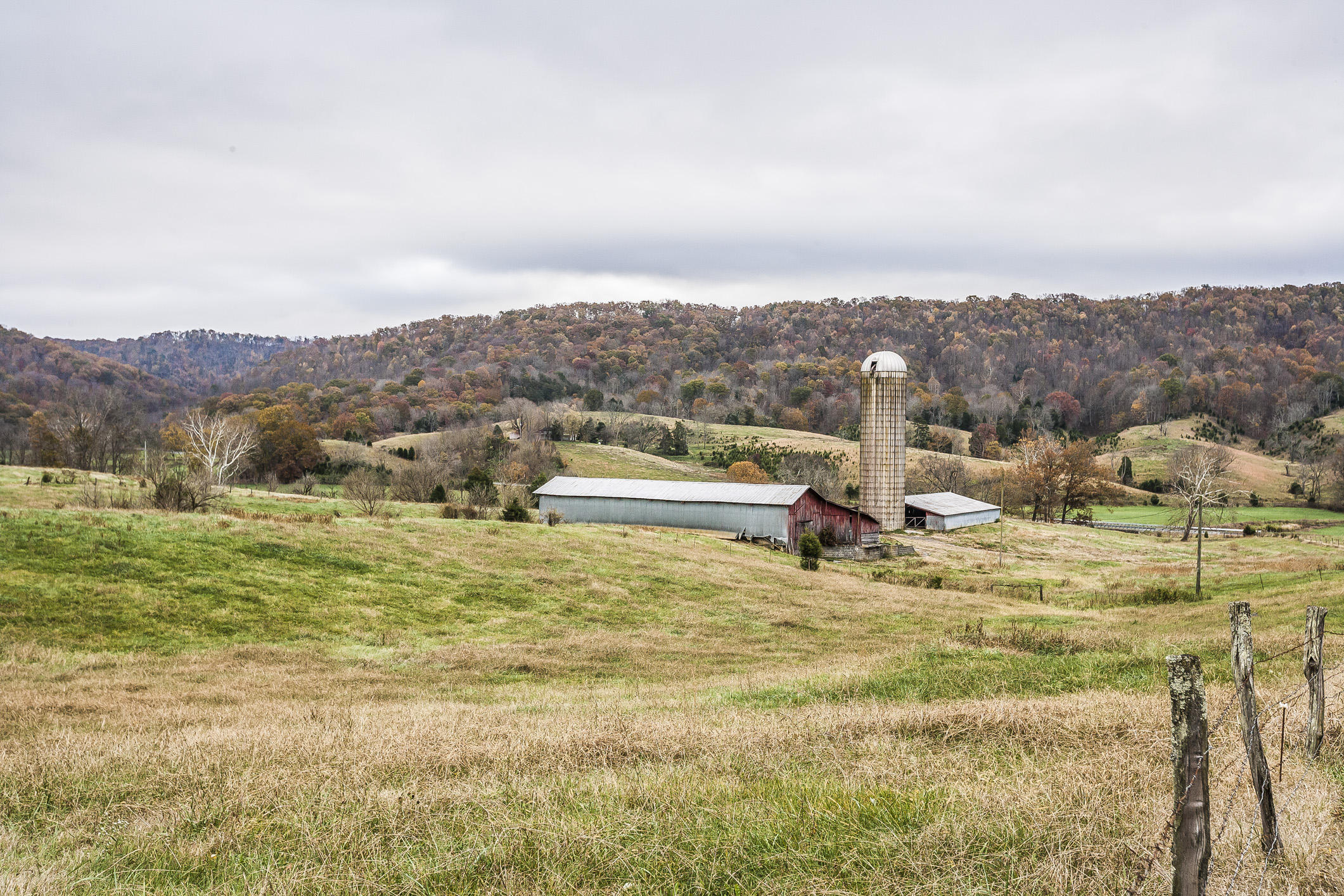 359 Kite Road Rogersville, TN 37857 - Photo 1 of 22 197N1685w