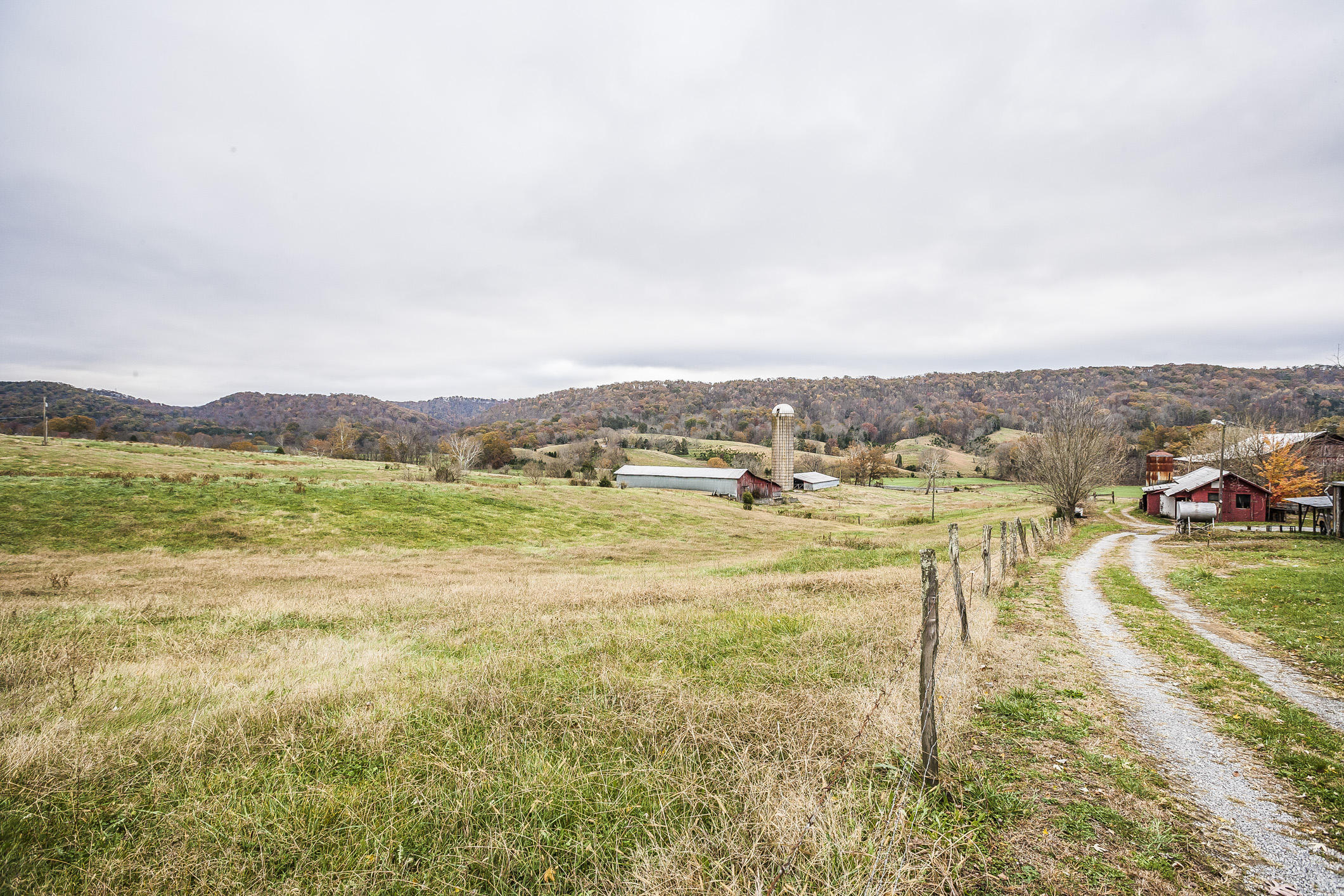 359 Kite Road Rogersville, TN 37857 - Photo 12 of 22 197N1684w