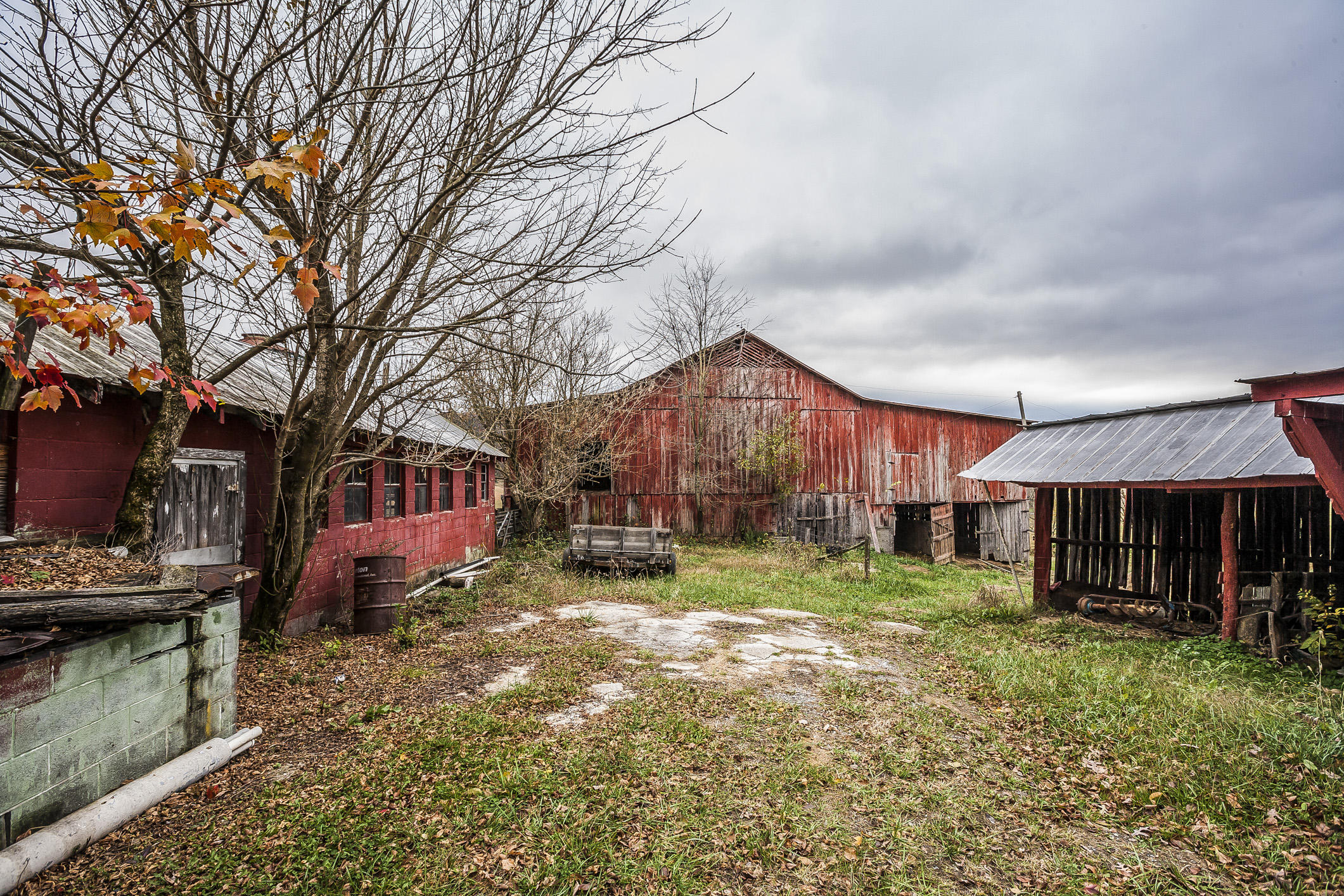 359 Kite Road Rogersville, TN 37857 - Photo 13 of 22 197N1686w