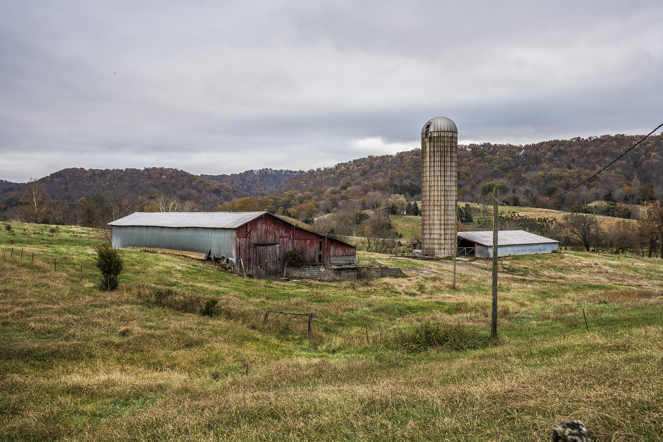 359 Kite Road Rogersville, TN 37857 - Photo 15 of 22 197N1689w