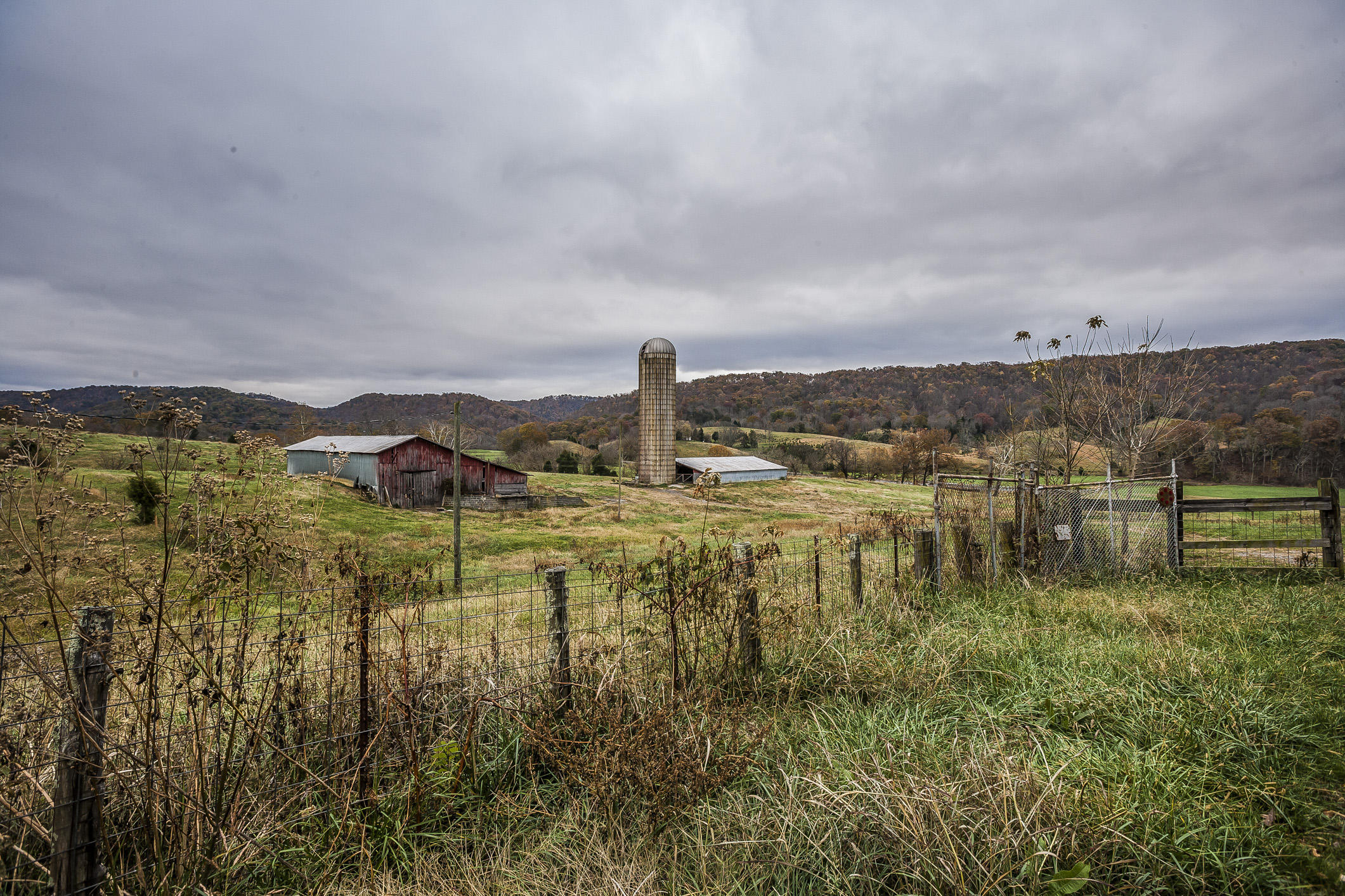 359 Kite Road Rogersville, TN 37857 - Photo 16 of 22 197N1691w