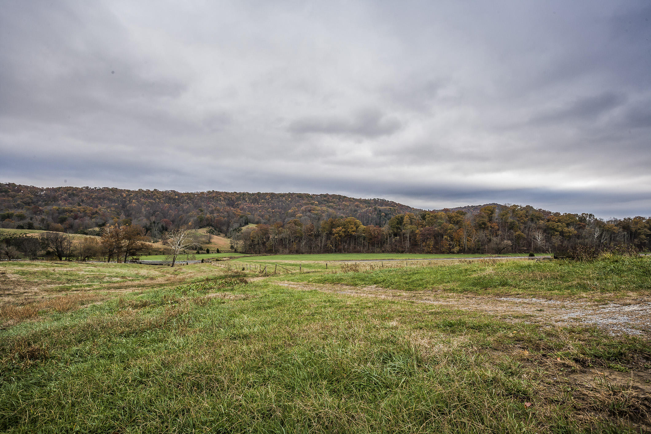359 Kite Road Rogersville, TN 37857 - Photo 18 of 22 197N1700w