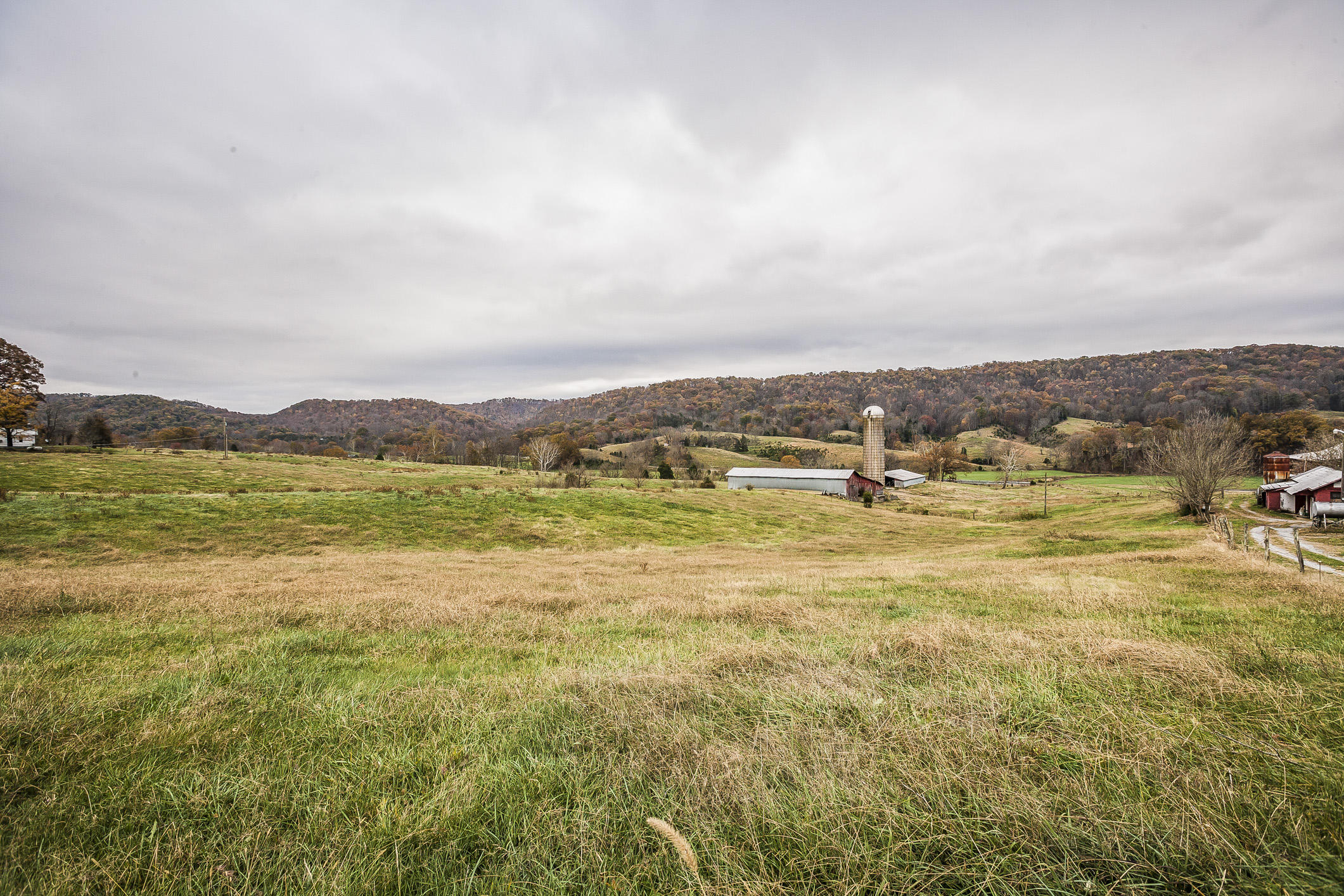 359 Kite Road Rogersville, TN 37857 - Photo 20 of 22 197N1706w