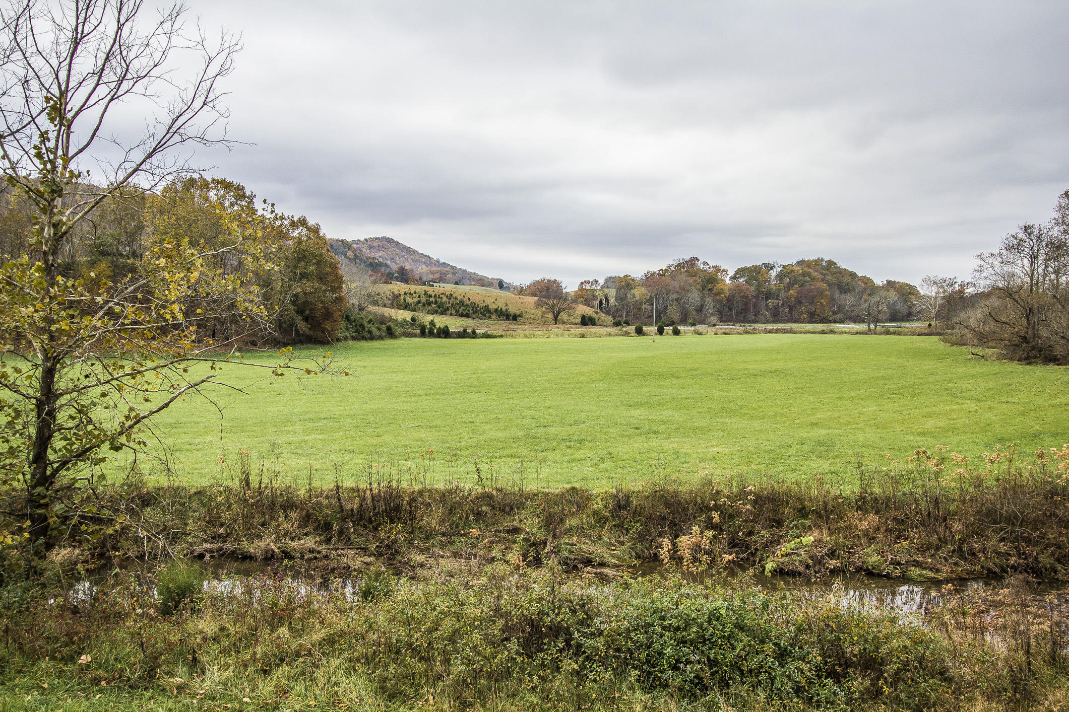 359 Kite Road Rogersville, TN 37857 - Photo 3 of 22 _MG_6677w