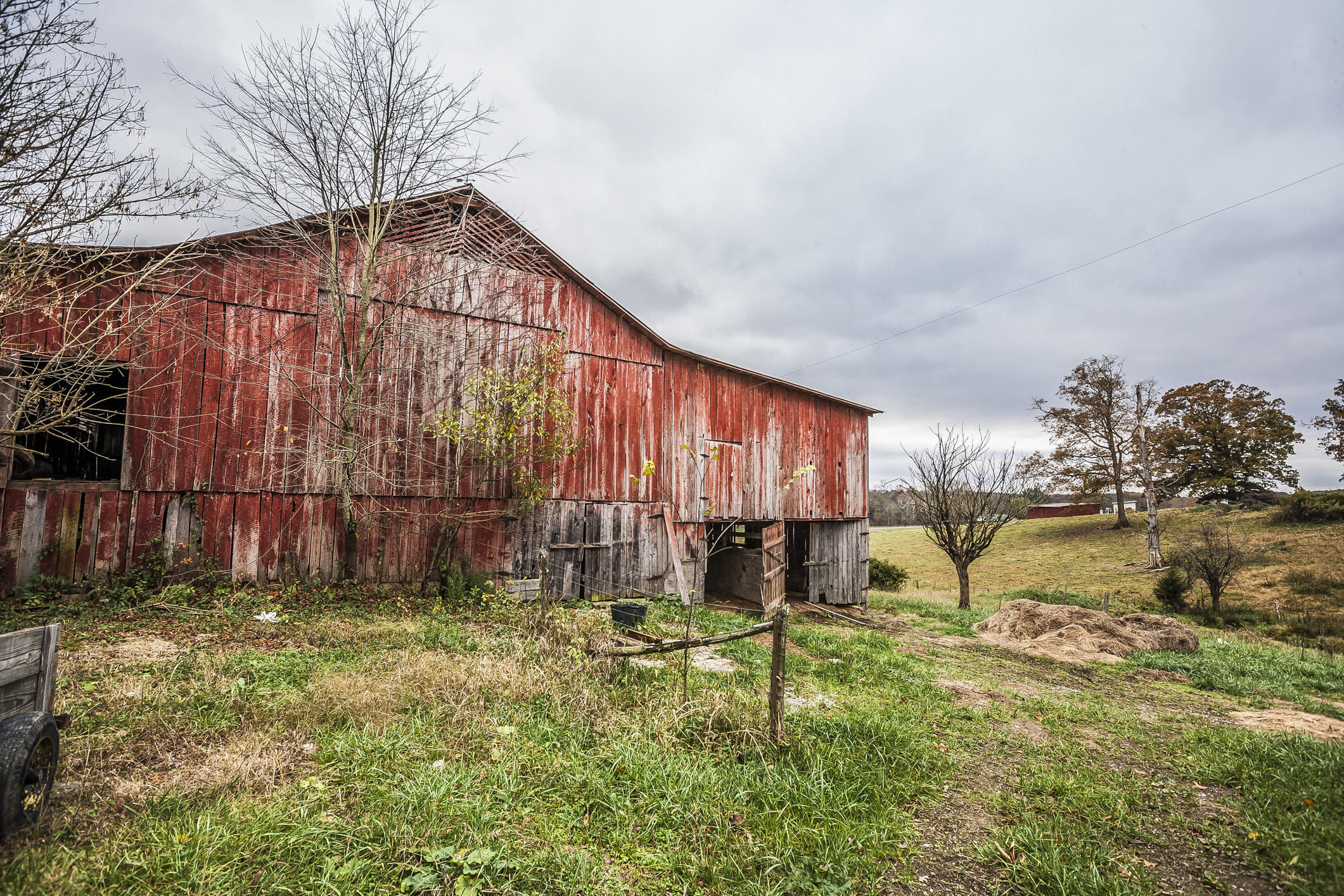 359 Kite Road Rogersville, TN 37857 - Photo 5 of 22 197N1687w