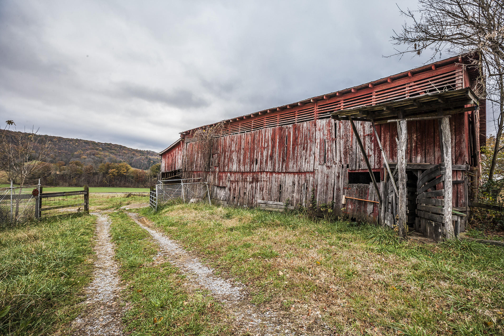 359 Kite Road Rogersville, TN 37857 - Photo 6 of 22 197N1690w