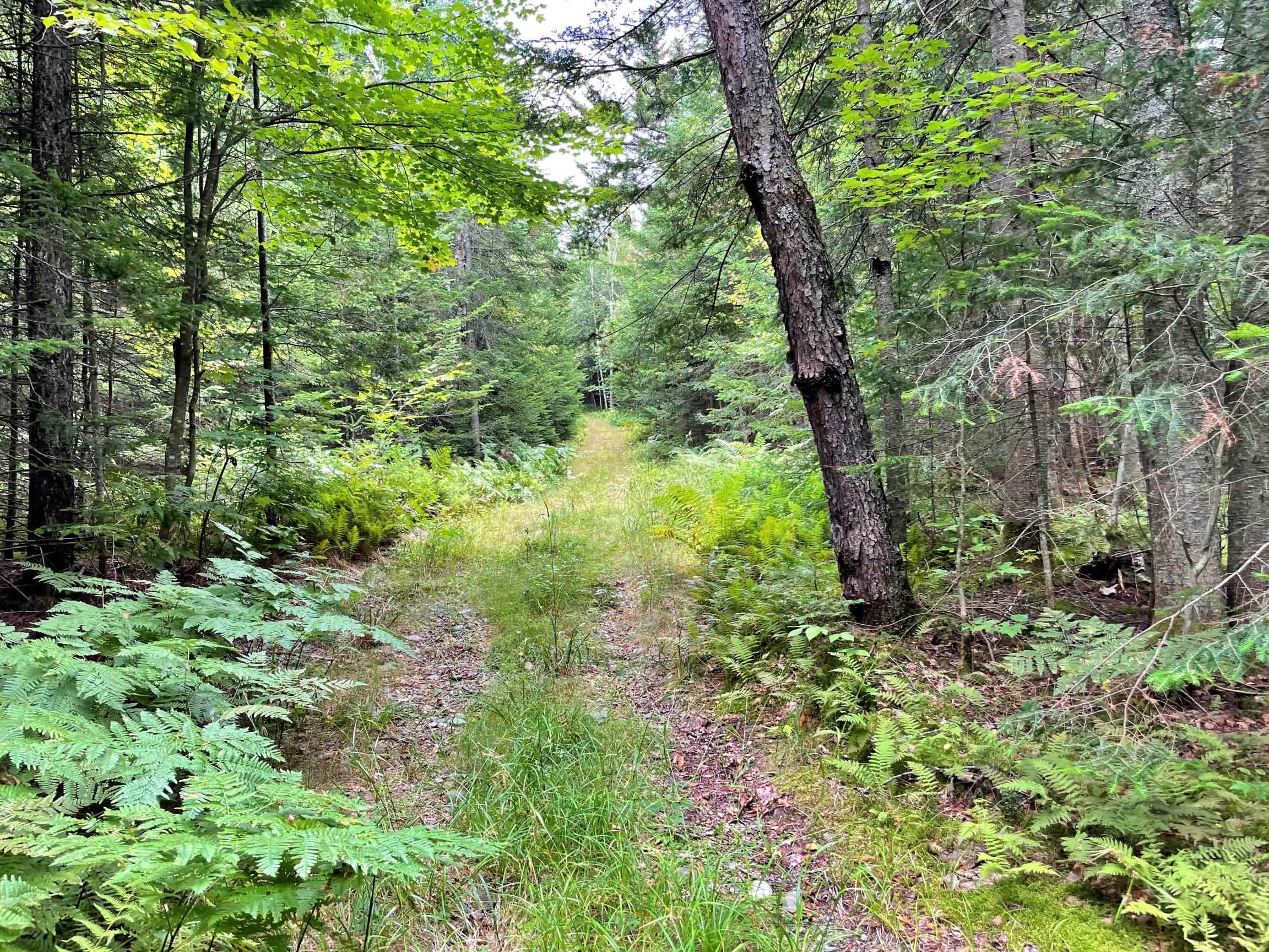 251 Cottage Road Averill, VT 05903 - Photo 17 of 29