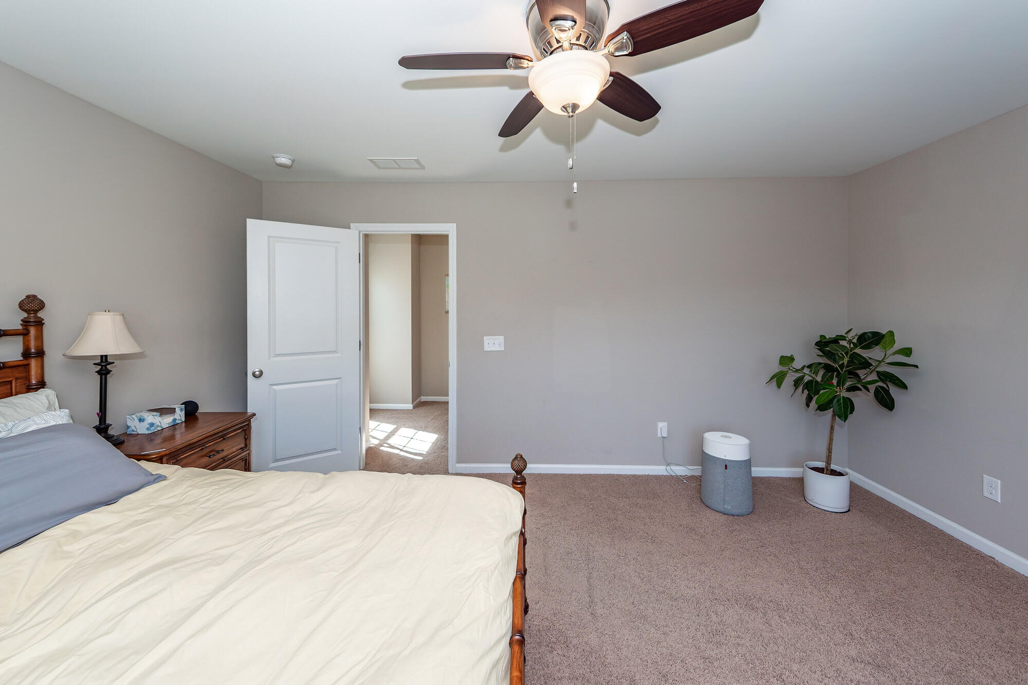 300 Trumpet Tree Drive Goose Creek, SC 29445 - Photo 22 of 47 Owner's Suite