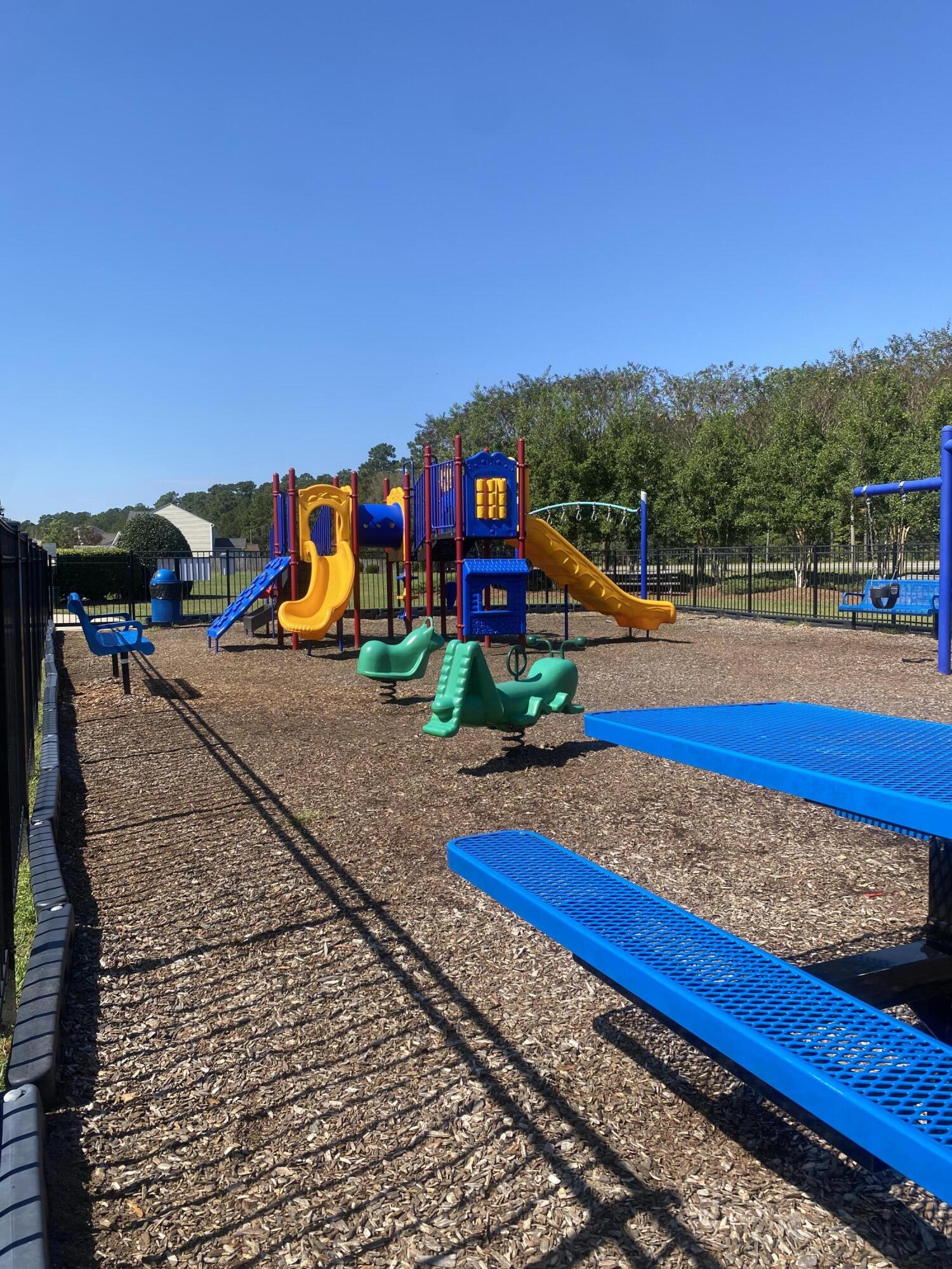 300 Trumpet Tree Drive Goose Creek, SC 29445 - Photo 46 of 47 IMG_9017